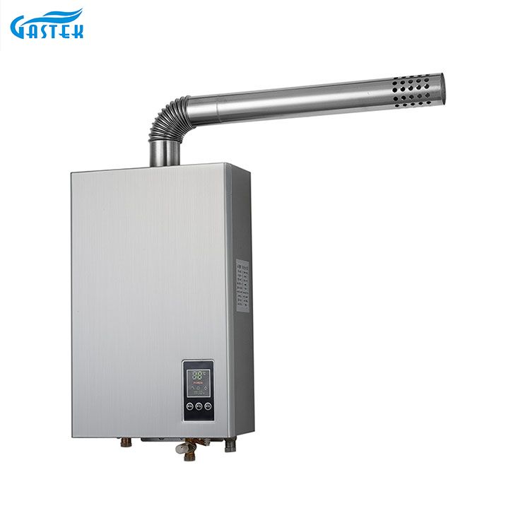 ইলেকট্রিসিটি 220V 110V কনস্ট্যান্ট টেম্পারেচার ফোর্সড টাইপ কমপ্যাক্ট সাইজ গ্যাস হট ওয়াটার হিটার
